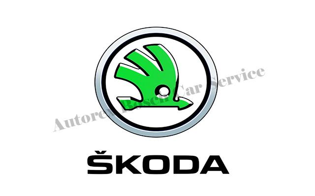 Çekmeköy Skoda Servisi